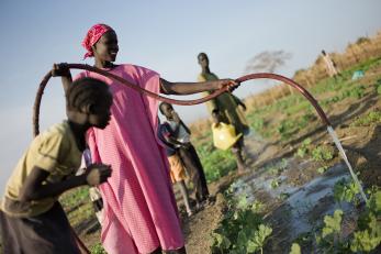 People watering crops in Sudan
