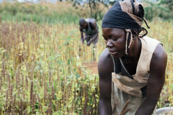 Woman working in a field