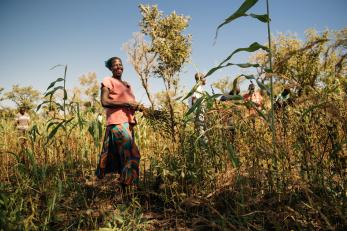 Woman in a crop in Uganda