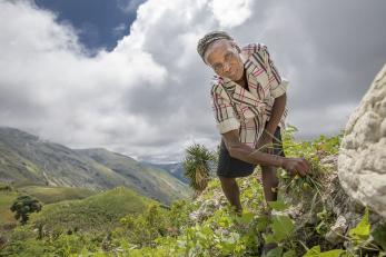 With Mercy Corps' help, Neyis is replanting her crops after Hurricane Matthew destroyed them last year.