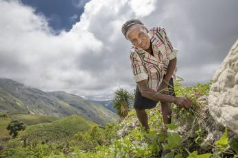 With Mercy Corps' help, Neyis is replanting her crops after Hurricane Matthew destroyed them last year. 