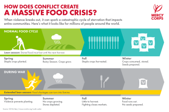 Infographic called "how does conflict create a massive food crisis?"