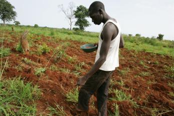 young man farming