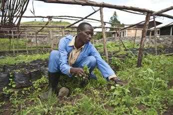 man farming