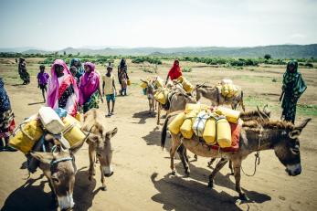 Women in ethiopia pictured with several donkeys that have yellow plastic milk containers strapped to their backs