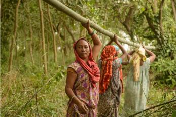 women holding bamboo