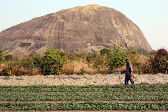 man farming