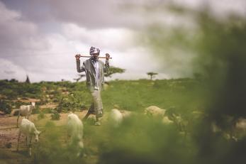 Mercy Corps sees the threat of climate change in many places where we work. In Ethiopia and around the world, we’re helping people adapt to increasingly unpredictable rainfall and weather, because we know their food, health and lives depend on it. Photo: Sean Sheridan for Mercy Corps