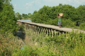Myanmar rural scene, with an individual walking on a foot bridge.