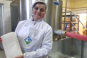 A person holds a cheese block in a cheese making facility.