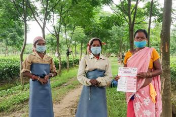 Tea industry workers standing together.