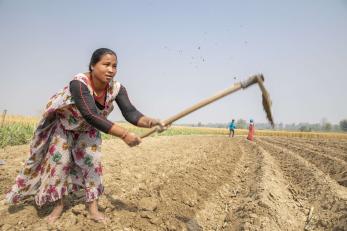 A person working farmland to plant sugarcane. 