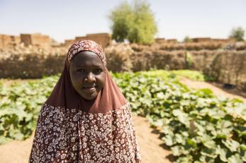 A person standing near rows of crops.