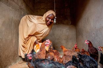 A person feeding chickens.