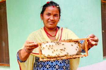 A person holding a honeycomb.