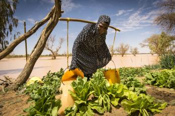 A person farming.