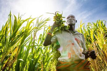 A farmer in Uganda.