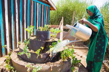 A person watering plants.