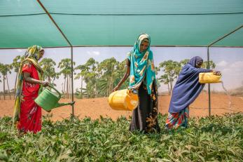 Three people watering plants.