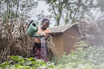 A person watering plants.