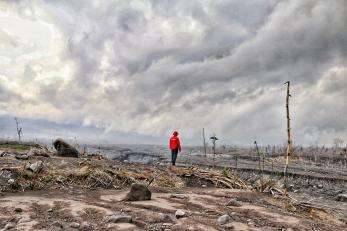 A person assessing the damage to farmland in Supiturang village after the Mount Semeru eruption.