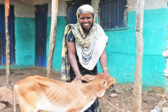 A livestock producer in Erer town in Somali Region of Ethiopia