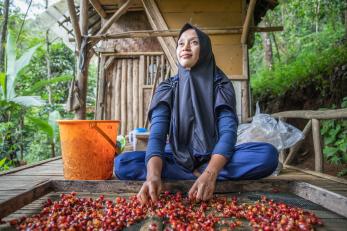 A coffee farmer processing coffee berries.