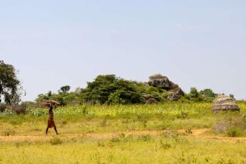 A person carrying lumber.