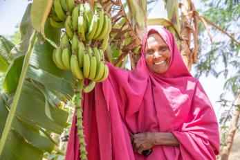 A person standing next to a fruiting banana tree.