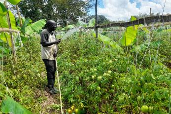 Man waters crops with solar powered pumped water.