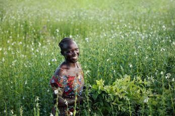 Ugandan woman stands in field of sesame.
