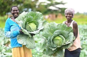 Two Ugandan women smiling in agricultural setting, displaying large cabbage.