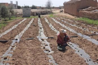 Farmer and a Drip irrigation system provided in Syria.
