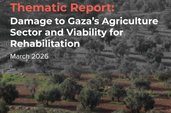 Cover image, with title, of research report.