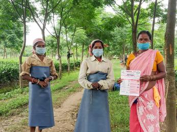 Tea industry workers standing together.