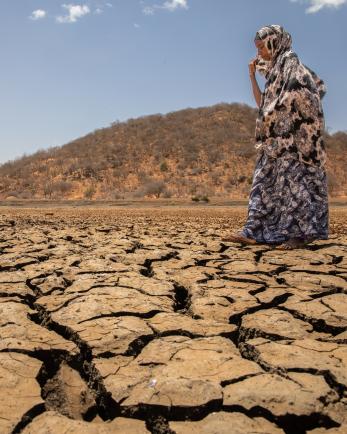 A person walking across dried earth.