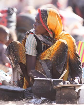 Families displaced by violence live in makeshift shelters in Tawila, Sudan, near El Fasher, where conflict has worsened famine conditions as of April 2025.