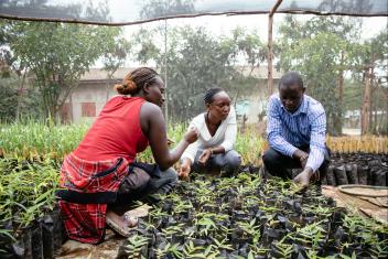 In Kenya’s youth bunges (Swahili for parliament), young people come together to start businesses, practice leadership skills, and change their communities. Members of this bunge pooled their money to start a business growing bamboo seedlings for sale. With training from Mercy Corps, they want to eventually scale up the business from 4,500 seedlings to 50,000.