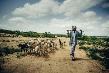 Ali depends on his livestock to support his family. We're helping him strengthen his livelihood with access to veterinary services and mobile technology that allows him to do business even in his remote community. Photo: Sean Sheridan for Mercy Corps