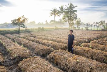 42-летний Пак занимается выращиванием риса в восточной Индонезии, где усиление засухи ставит под угрозу его средства к существованию. Mercy Corps помогает ему и другим фермерам научиться выращивать более крепкие и крепкие культуры, способные противостоять переменчивой погоде.