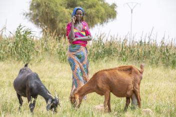 Две козы Хадиары являются важным источником молока и дохода для ее семьи. Она и миллионы других людей, занимающихся разведением скота, зависят от дождей, которые обеспечивают их водой и зелеными пастбищами, чтобы их животные оставались живыми и здоровыми.