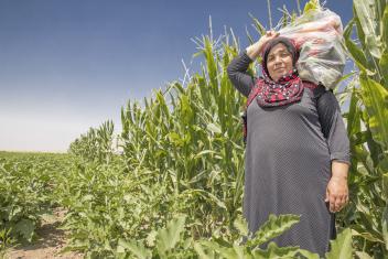 Abu Goubran's wife, Houda, harvests vegetables. The farm uses organic methods, with an apiary on-site to pollinate the fields.