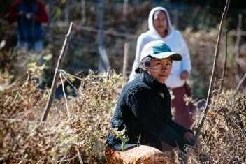 In rural Guatemala, we help young aspiring farmers grow their livelihoods so they don’t have to migrate to the city or out of the country.