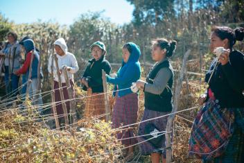 In rural Guatemala, we help young aspiring farmers grow their livelihoods so they don’t have to migrate to the city or out of the country.