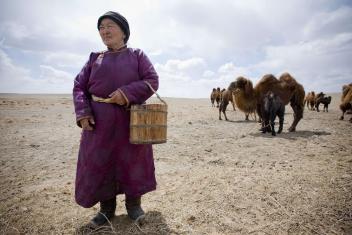 A member of the Bayan Zag Herder Group, who are experienced in animal herding and processing dairy, received training to develop a business plan to process camel’s milk. (2008)