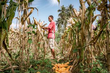 Smallholder farmers like Amrin in Sigi District, Indonesia, face great risks from natural disasters and climate change. Mercy Corps connects farmers to resources to boost their incomes and increase adaptability to climate-related stresses.