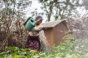 Grace Ganisikale works in her permargarden which is protected by a fence made of palm fronds. She built her garden with help from Mercy Corps.