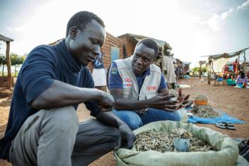 In Bidi Bidi, Uganda, Moses Aloro, a business mentor, connects with Festo James, a South Sudanese refugee who has set up a silver fish business in the local market.