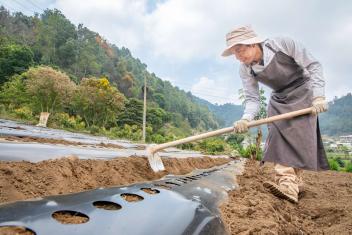 In Guatemala, Mercy Corps connects farmers, like Miguel, to new markets, tools, and climate-smart technologies to increase their incomes and help communities build climate resilience.