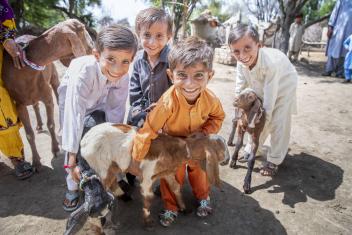 In Pakistan, four brothers hug their family’s growing herd of goats. After flooding destroyed everything they had, their family was able to buy a pregnant goat with cash assistance from Mercy Corps.